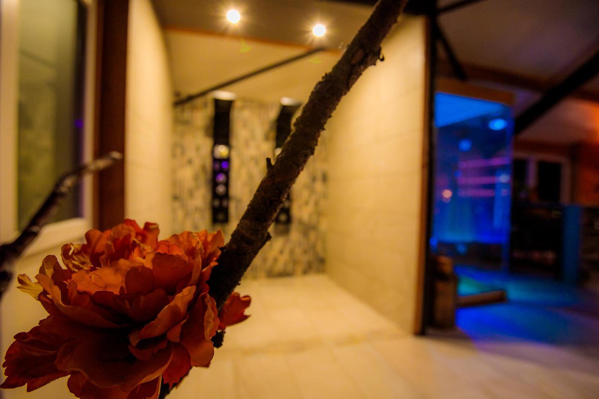B&B En Wellness De Waalhoeve Angerlo ภายนอก รูปภาพ